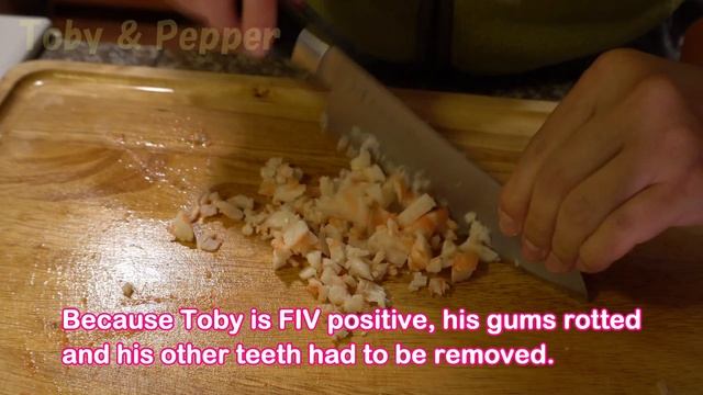 Cat Eats Shrimp えびを食べるねこ смотреть онлайн