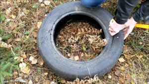 Показываю на что способен самый бюджетный универсальный нож mora companion. Он даст фору многим