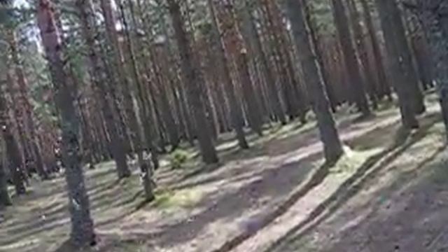 Последний бам смотреть онлайн