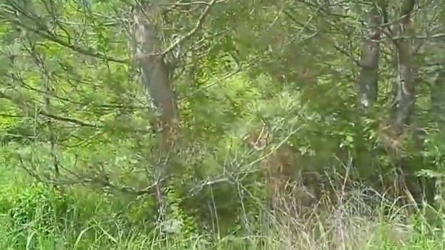 Турпоход выходного дня вверх по течению реки за село Сукко