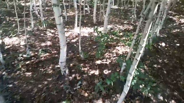 video_2024-08-11_16-13-48 смотреть онлайн