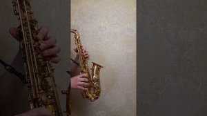 El Condor Pasa Simon & Garfunkel sax saxophone - Полет кондора на саксофоне