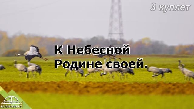 Песня Журавли Владимир Мысин Караоке