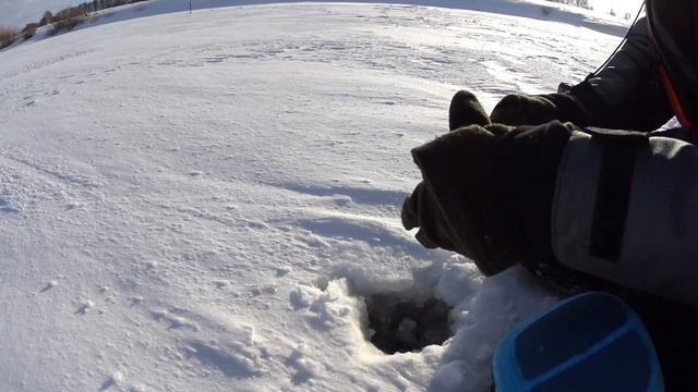 Как поймать 5 кг подлещика на озере в Береговом. смотреть онлайн