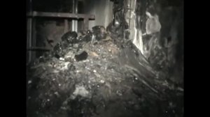 ЧАЭС ☢ Саркофаг ☢ Слоновая нога