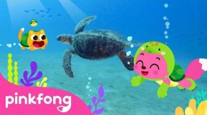 I’m a Baby Turtle | Sneak Peek of Baby Turtle's Day! | Kids Nursery Rhyme | Pinkfong Ninimo