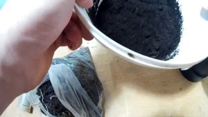 #127 ДОЖДЕВЫЕ ЧЕРВИ. КАК РАЗВОДИТЬ ДОМА И ЧЕМ КОРМИТЬ. EARTHWORMS AT HOME