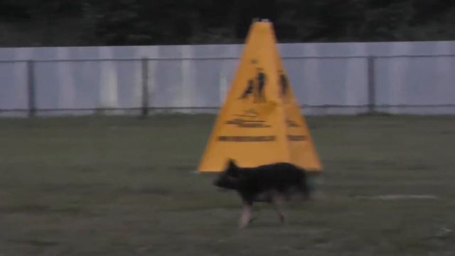 ДЦ *ZооИмперия* г.Ярославль смотреть онлайн