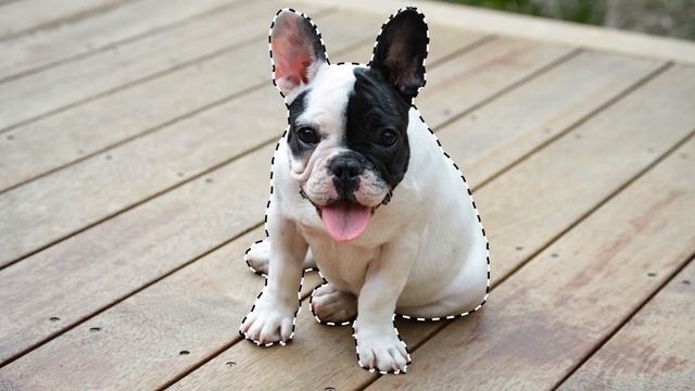 Novidades Adobe Photoshop 2020 смотреть онлайн