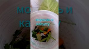 капуста квашеная со свеклой