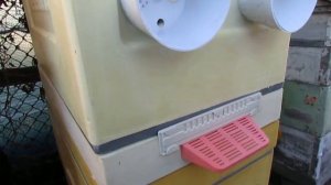 отводок пчел сверху основной семьи при зимовке на воле , в 6 рамочном улье