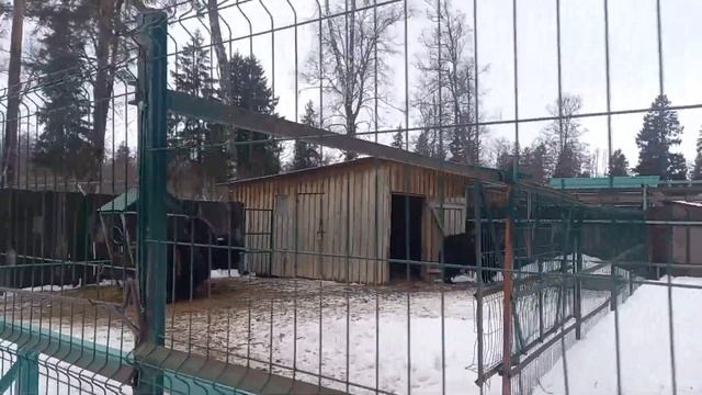 Кострома там где жили берендеи смотреть онлайн