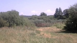 История сражения на реке Березина, возле города Борисов в 1812 году. История Белорусских мест.
