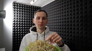 Как прорастить маш.  Прорастил целое сито. Проращивание маша дома