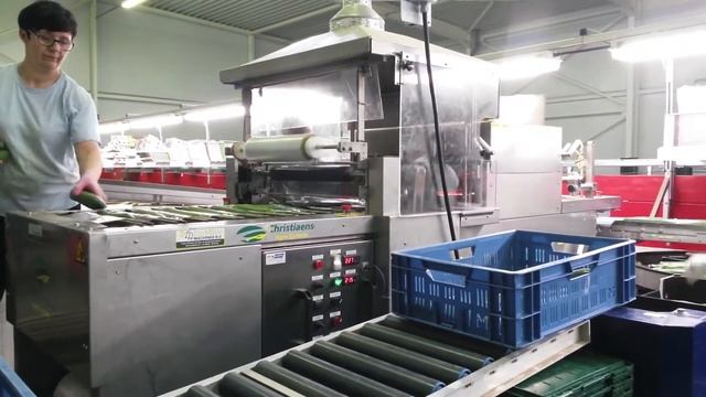Машина для упаковки огурцов в термоусадочную пленку