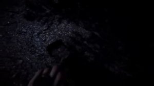 Sons Of The Forest Trailer 2