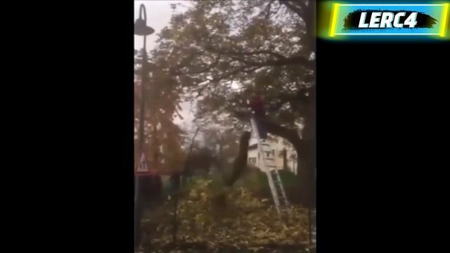 ЖЕСТЬ! РОКОВЫЕ ОШИБКИ ПРИ ВЫРУБКЕ ДЕРЕВЬЕВ