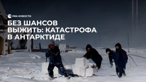 Без шансов выжить: катастрофа в Антарктиде