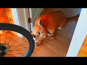 У нас новый житель! Знакомьтесь!