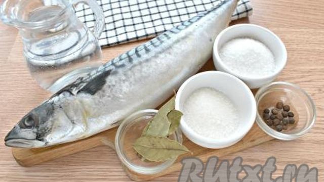 Как засолить скумбрию в рассоле целиком