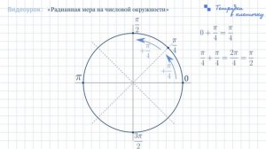 Радианная мера на числовой окружности