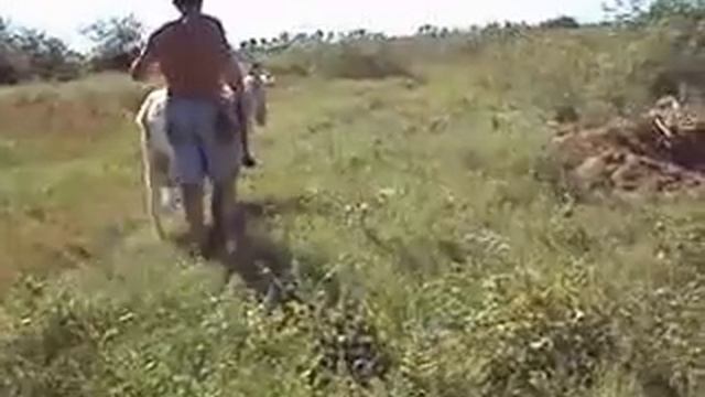 Как я вывожу своего козла на прогулку смотреть онлайн