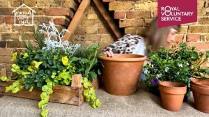 Planting Summer Containers with Rachel Moore