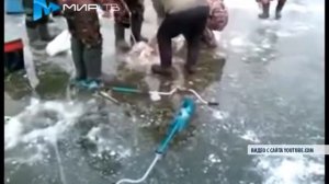 Рыбаки поймали в Клязьме крупного сома