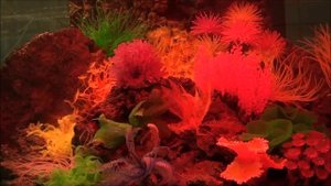 Силиконовые декорации в аквариуме "псевдоморе"