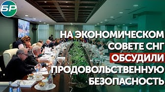 На экономическом совете СНГ обсудили продовольственную безопасность