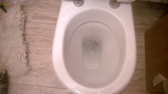 Как смывает Унитаз Gustavsberg Basic 392 смотреть онлайн