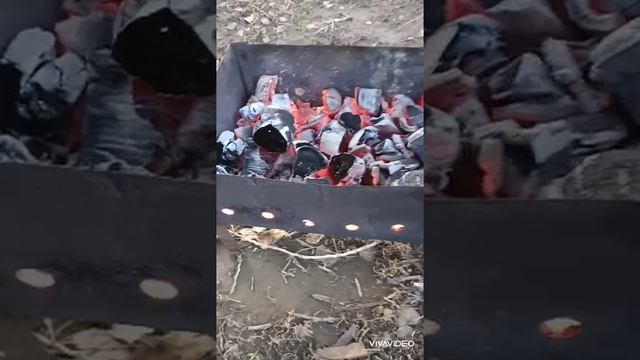 Закрыли сезон рыбалки 2023. Ждём лето 2024 ? смотреть онлайн