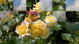 Сергей Сарычев    Если время придет