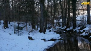 Panasonic Lumix GH4 video sample in 4K ULTRA HD resolution