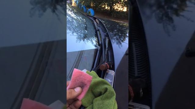 trim AE48A768 B237 4A35 AA48 7A849A6ABB38 смотреть онлайн