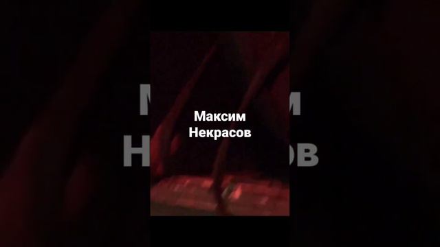 Максим Некрасов Губная гармошка