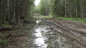 Нагонка РПГ. Проходы зайца-беляка.