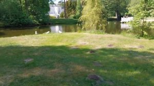 Прогулянка містом Паланга (Palanga). Birutės parkas. Музей янтаря. Балтійське море (Baltijos jūra).