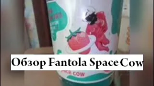Обзор Fantola Space Cow