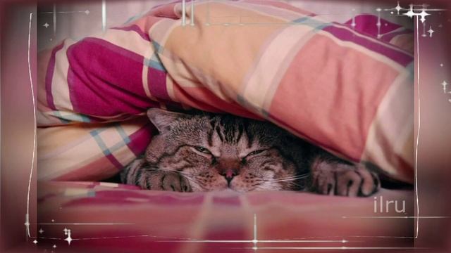 Доброе Утро Понедельника! Удачной Недели!