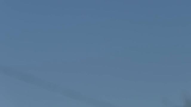 Красные белохвостые голуби май 2023 смотреть онлайн