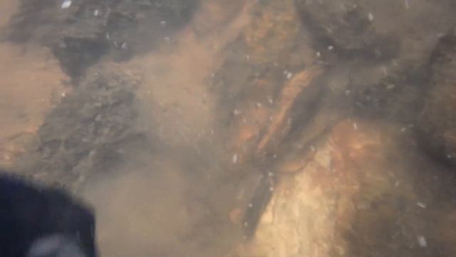 River Hunting - There's Knives Everywhere Out Here! | Nugget Noggin смотреть онлайн