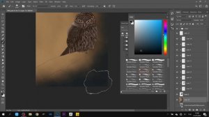 Snowy Owl Illustration Process - Sketching on Photoshop & Coloring Speed Art