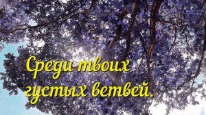 С Днем Рождения Мама, от дочери. Самое красивое и трогательное поздравление маме с днем рождения!