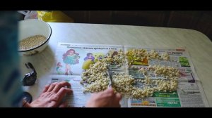 Как готовить перловку на САЗАНА!!! Проверенный способ!