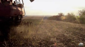 Семья Case IH на уборке подсолнечника!Будни комбайнёра!Case IH 5140 + Case Puma 210