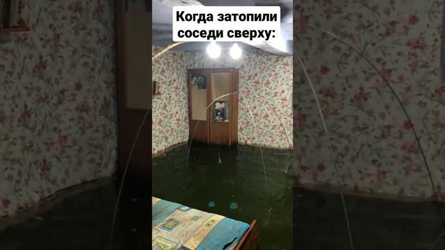 пов: затопили соседи: