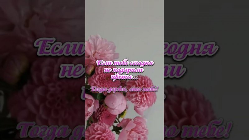 8 июня 2023 г.