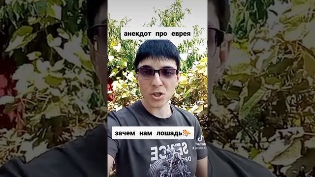 Анекдоты от Элика ( зачем нам лошадь??)