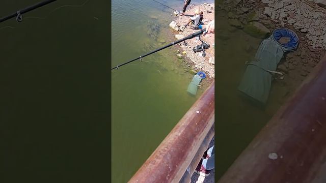 рыбалка байтал озеро балхаш